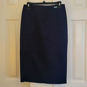 Blue Skirt